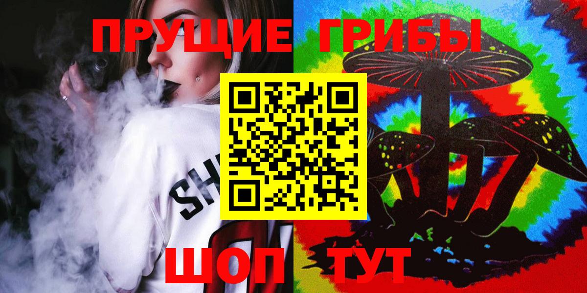 Осинники  Галлюциногенные грибы Psilocybine cubensis  Вход с VPN 